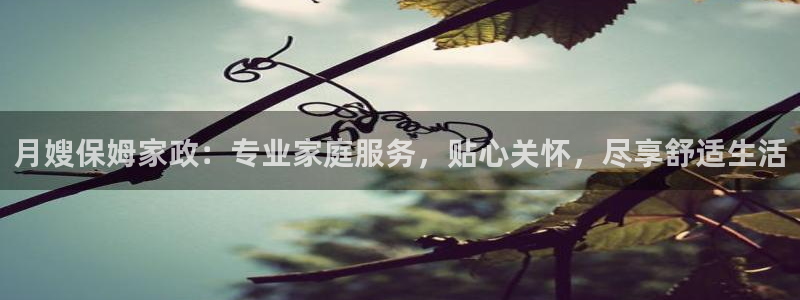 杏悦总代理