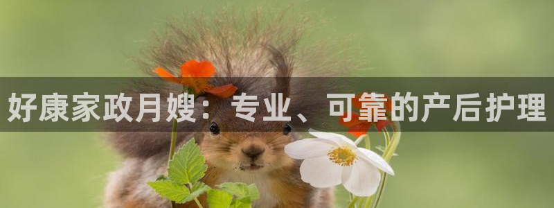 杏悦平台主管