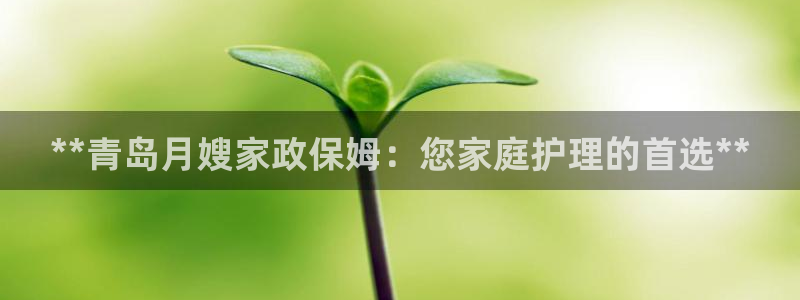 杏悦平台登录网址查询