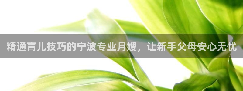 杏悦平台代理怎么赚钱快