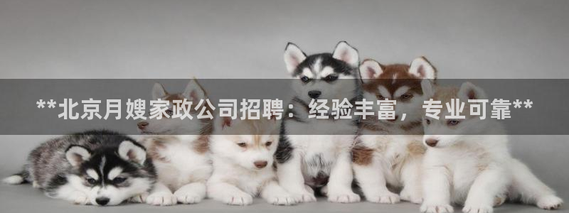 杏悦平台开户地址是什么