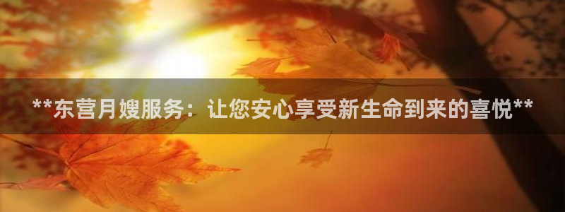 杏悦是什么平台