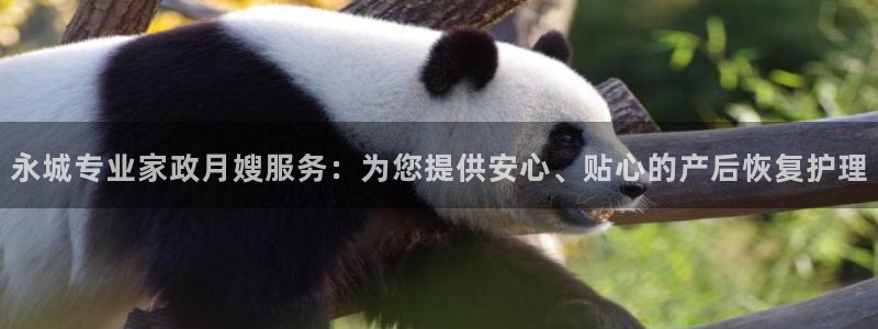 杏悦是什么平台