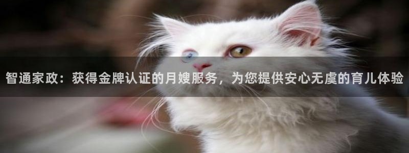 杏悦娱乐注册平台