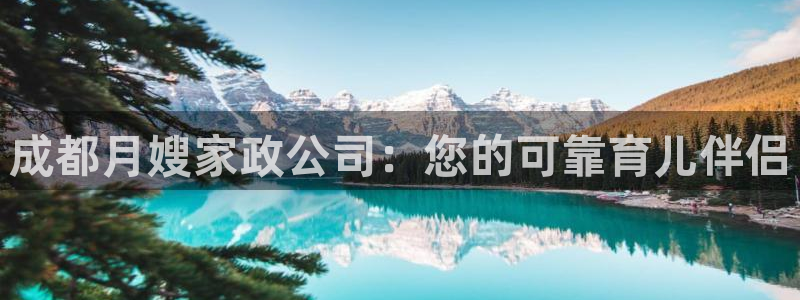 杏悦平台代理怎么赚钱的