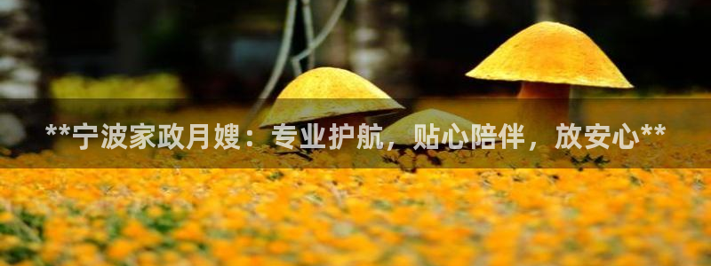 杏悦官网注册信息是什么