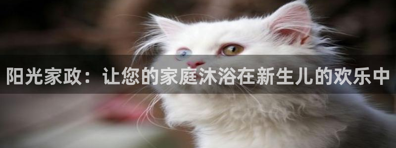 杏悦平台代理怎么样可靠吗