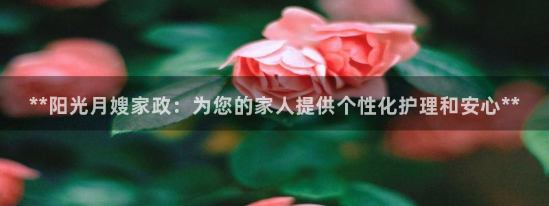 杏悦官方平台官网入口