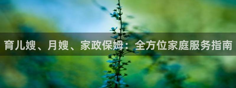 杏悦平台代理怎么赚钱