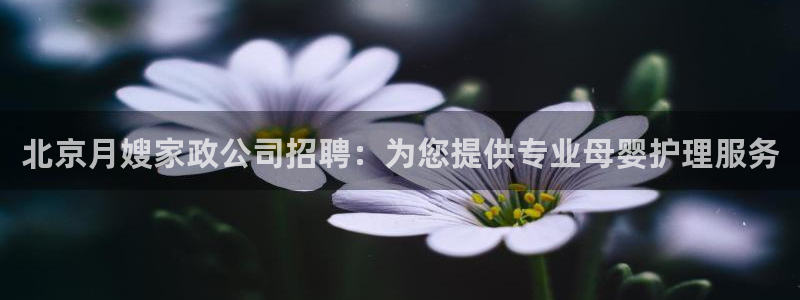杏悦平台可靠吗是真的吗吗