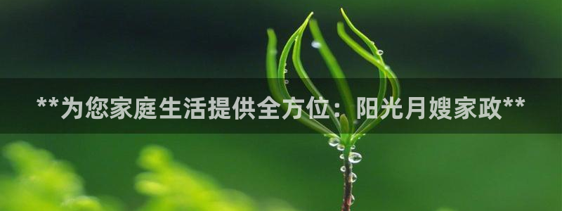 杏悦是什么