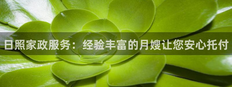 杏悦平台公司介绍