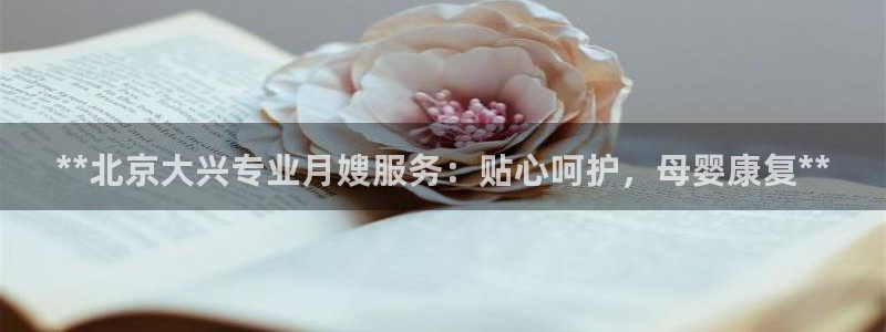 杏悦总代理