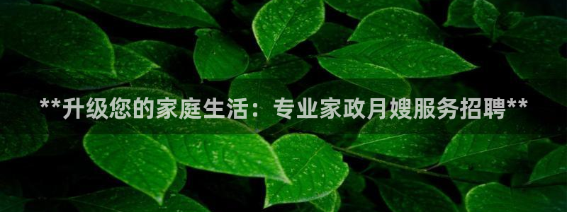 杏悦平台代理