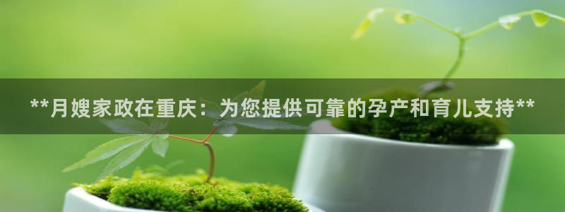 杏悦平台代理怎么样啊