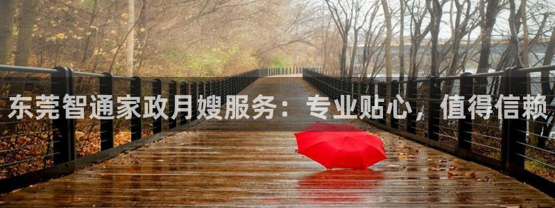 杏悦总代理