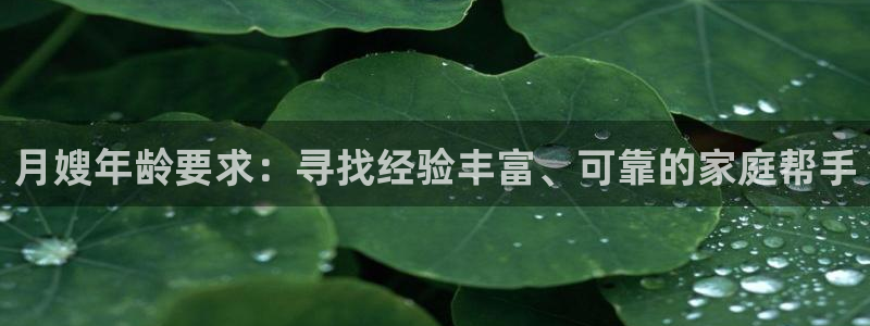 杏悦平台代理怎么赚钱