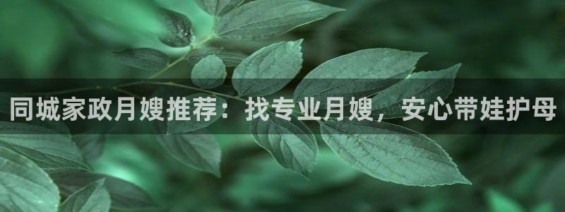 杏悦娱乐注册平台官网
