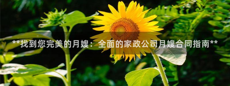 杏悦平台招商电话号码