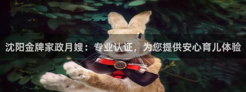 杏悦平台登录地址在哪里