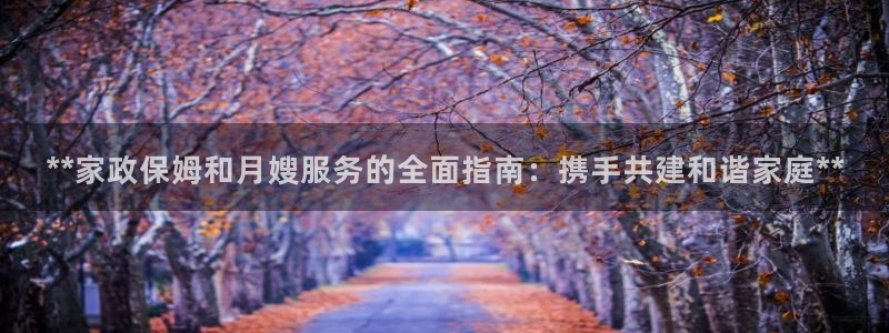杏悦平台代理怎么做