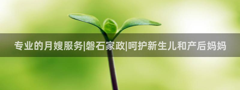 杏悦1登录地址