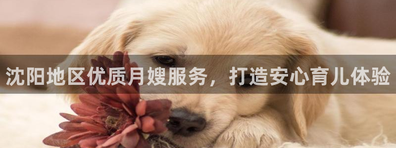 杏悦官网注册信息查询