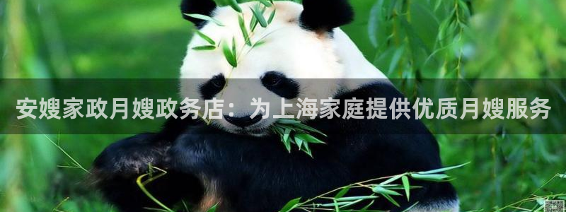 杏悦平台代理多少钱