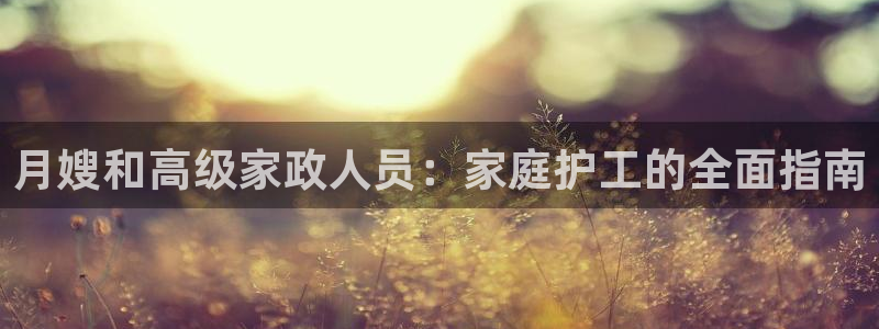 杏悦平台代理怎么做的