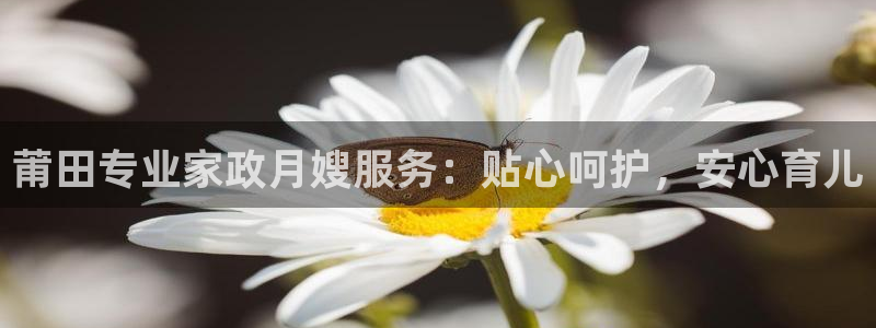 杏悦平台主管