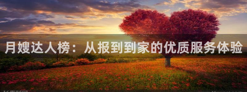 杏悦平台公司介绍