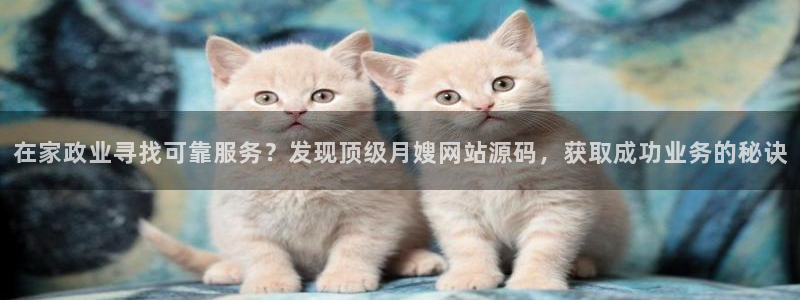 杏悦平台代理怎么做赚钱