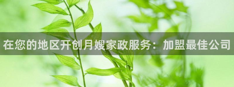 杏悦官网登录