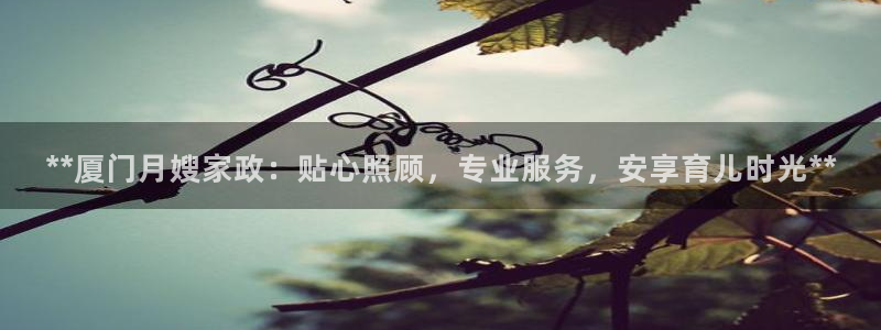 杏悦平台代理注册多少钱