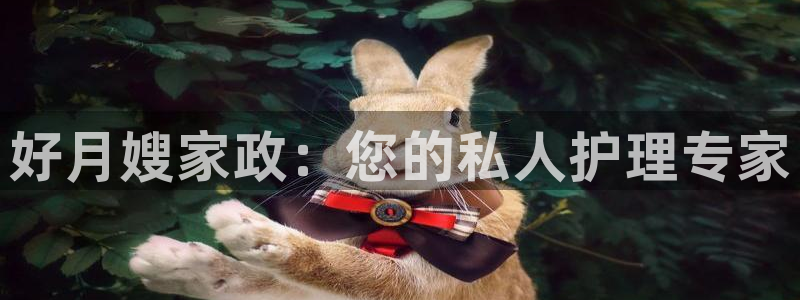 杏悦官网登录入口网址