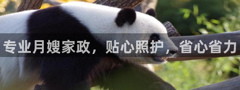 杏悦平台注册