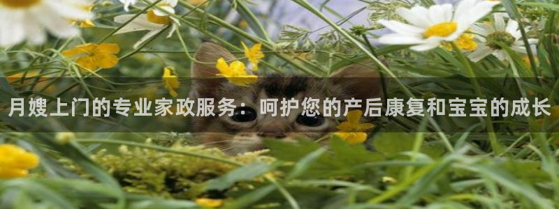 杏悦官方平台是正品吗安全吗