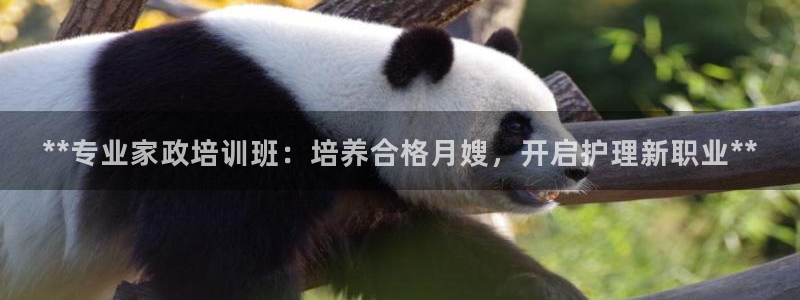 杏悦平台招商电话号码