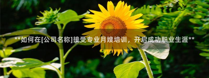 杏悦平台登录网址是多少