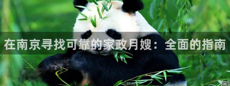 杏悦平台代理怎么做