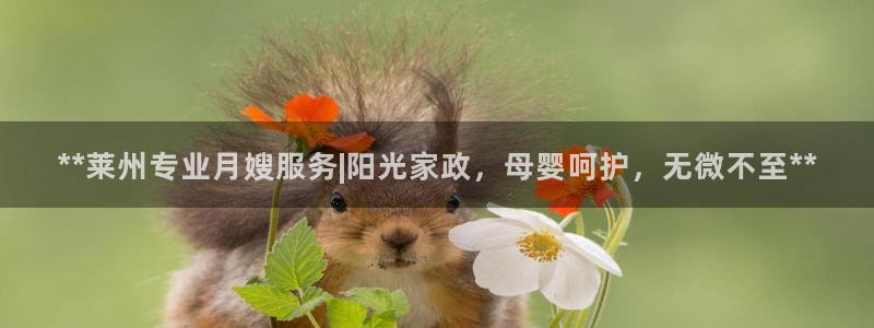 杏悦平台代理怎么样