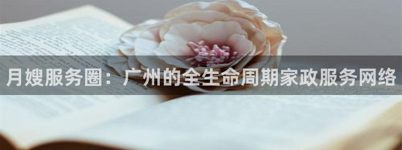 杏悦招商地址