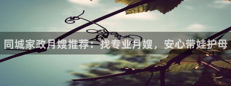 杏悦官方平台官网入口