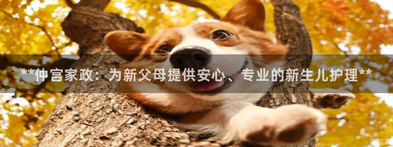 杏悦平台登录网址是什么