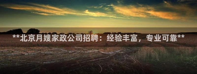 杏悦平台线路测速