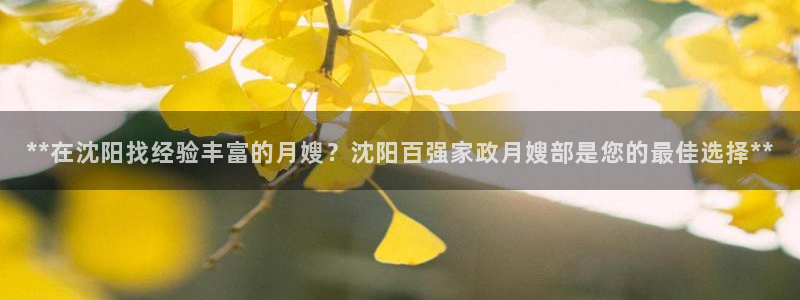 杏悦平台代理多少钱