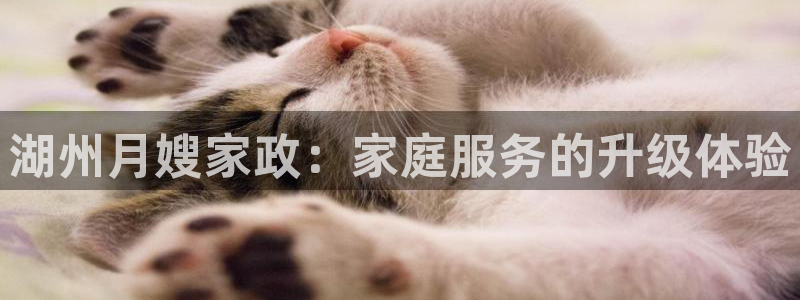 杏悦平台代理怎么做的