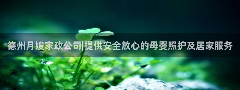 杏悦平台代理怎么做的