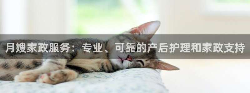 杏悦主管