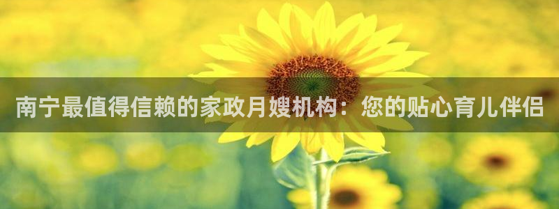 杏悦1招商地址